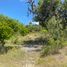  Land for sale in Casa Museo Antonio Nariño, Villa De Leyva, Villa De Leyva