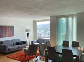  Appartement zu vermieten in San Luis Potosi, San Luis Potosi, San Luis Potosi, San Luis Potosi