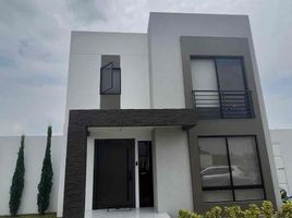 3 Bedroom House for rent in Samborondon, Guayas, Samborondon, Samborondon