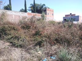  Grundstück zu verkaufen in Morelia, Michoacan, Morelia, Michoacan