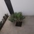 3 Schlafzimmer Haus zu vermieten in Nicolas Romero, Mexico, Nicolas Romero