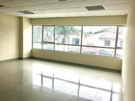 46 SqM Office for rent in Ecuador, Guayaquil, Guayaquil, Guayas, Ecuador