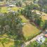  Land for sale in Conocoto, Pichincha, Conocoto