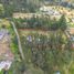  Land for sale in Conocoto, Pichincha, Conocoto