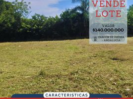  Terreno (Parcela) en venta en Andalucia, Valle Del Cauca, Andalucia