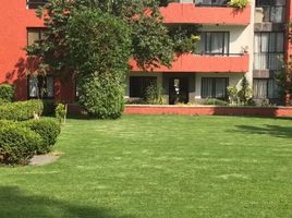 3 Schlafzimmer Wohnung zu verkaufen in Miguel Hidalgo, Mexico City, Miguel Hidalgo, Mexico City