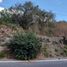  Land for sale in Miacatlan, Morelos, Miacatlan