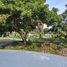  Land for sale in Miacatlan, Morelos, Miacatlan