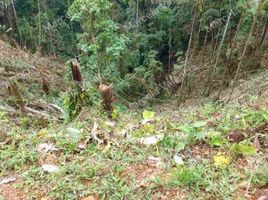  Terreno (Parcela) en venta en Santo Domingo de los Tsachilas, Santo Domingo De Los Colorados, Santo Domingo, Santo Domingo de los Tsachilas