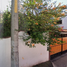 3 Bedroom House for sale in Coatepec, Veracruz, Coatepec