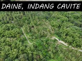  Terreno (Parcela) en venta en Indang, Cavite, Indang