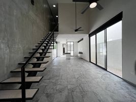 Maison 3 chambre à vendre à Conkal, Yucatan, Conkal
