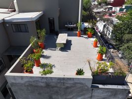 1 Habitación Apartamento en alquiler en Miguel Hidalgo, Ciudad de México, Miguel Hidalgo