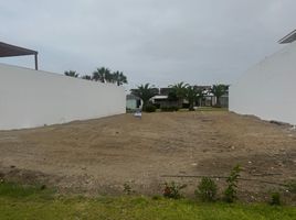  Terreno (Parcela) en venta en Cañete, Lima, Asia, Cañete