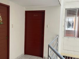 3 Schlafzimmer Wohnung zu verkaufen in Ate, Lima, Ate, Lima, Lima