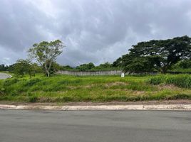  Land for sale in Calamba City, Laguna, Calamba City