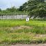  Land for sale in Calamba City, Laguna, Calamba City