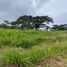  Land for sale in Calamba City, Laguna, Calamba City