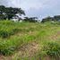  Land for sale in Calamba City, Laguna, Calamba City