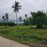  Land for sale in Puerto Princesa City, Mimaropa, Puerto Princesa City, Palawan, Mimaropa
