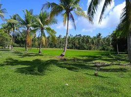  Grundstück zu verkaufen in Palawan, Mimaropa, Puerto Princesa City