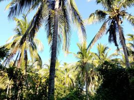  Terrain for sale in Sariaya, Quezon, Sariaya