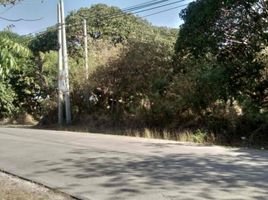  Land for sale in Calatagan, Batangas, Calatagan