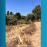  Land for sale in Chile, El Tabo, San Antonio, Valparaiso, Chile