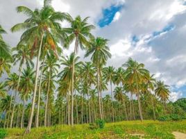  Terrain for sale in Aborlan, Palawan, Aborlan