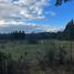  Land for sale in Chile, Cunco, Cautin, Araucania, Chile
