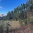  Land for sale in Chile, Cunco, Cautin, Araucania, Chile