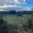  Land for sale in Chile, Cunco, Cautin, Araucania, Chile