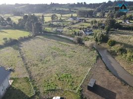  Terreno (Parcela) en venta en Araucanía, Nueva Imperial, Cautín, Araucanía