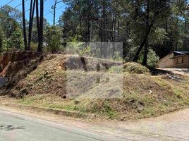  Grundstück zu verkaufen in Valle De Bravo, Mexico, Valle De Bravo