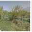  Land for sale in Santiago, Nuevo Leon, Santiago, Nuevo Leon