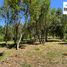  Terreno (Parcela) en venta en Chile, Pucón, Cautín, Araucanía, Chile