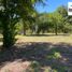  Terreno (Parcela) en venta en Chile, Pucón, Cautín, Araucanía, Chile