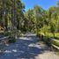 3 chambre Maison for sale in Los Lagos, Puerto Montt, Llanquihue, Los Lagos