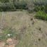  Terreno (Parcela) en venta en Chile, Loncoche, Cautín, Araucanía, Chile