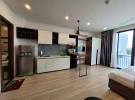 1 Phòng ngủ Căn hộ for rent in Phước Mỹ, Sơn Trà, Phước Mỹ