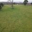  Terreno (Parcela) en venta en Chile, Pitrufquen, Cautín, Araucanía, Chile