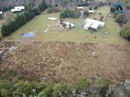  Terreno (Parcela) en venta en Chile, Freire, Cautín, Araucanía, Chile