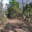  Terreno (Parcela) en venta en Chile, Pucón, Cautín, Araucanía, Chile