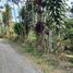  Land for sale in San Francisco, Cundinamarca, San Francisco