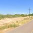  Land for sale in Etchojoa, Sonora, Etchojoa