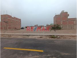 Terrain à vendre à Carabayllo, Lima, Carabayllo, Lima, Lima, Pérou