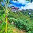  Land for sale in Baguio City, Cordillera, Baguio City