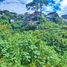  Land for sale in Cordillera, Baguio City, Benguet, Cordillera