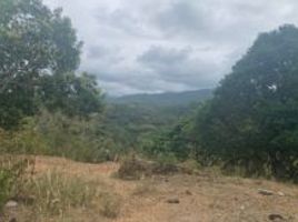  Land for sale in Negros Oriental, Negros Island Region, Sibulan, Negros Oriental