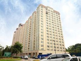 1 Bedroom Condo for rent at Stamford Executive Residences, Taguig City